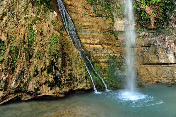 Ein Gedi Nature Reserve Israel Oasis
