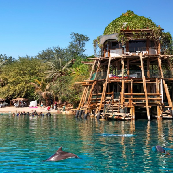 Eilat Coral Beach Red Sea Snorkeling Israel